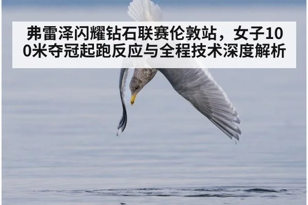 弗雷泽闪耀钻石联赛伦敦站，女子100米夺冠起跑反应与全程技术深度解析 | jiuyou game