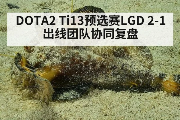 DOTA2 Ti13预选赛LGD 2-1出线团队协同复盘 | jiuyou game
